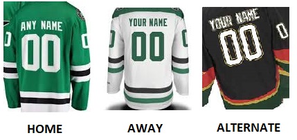 (image for) DALLAS Pro Hockey Number Kit